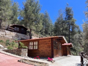 Bosco Paradiso